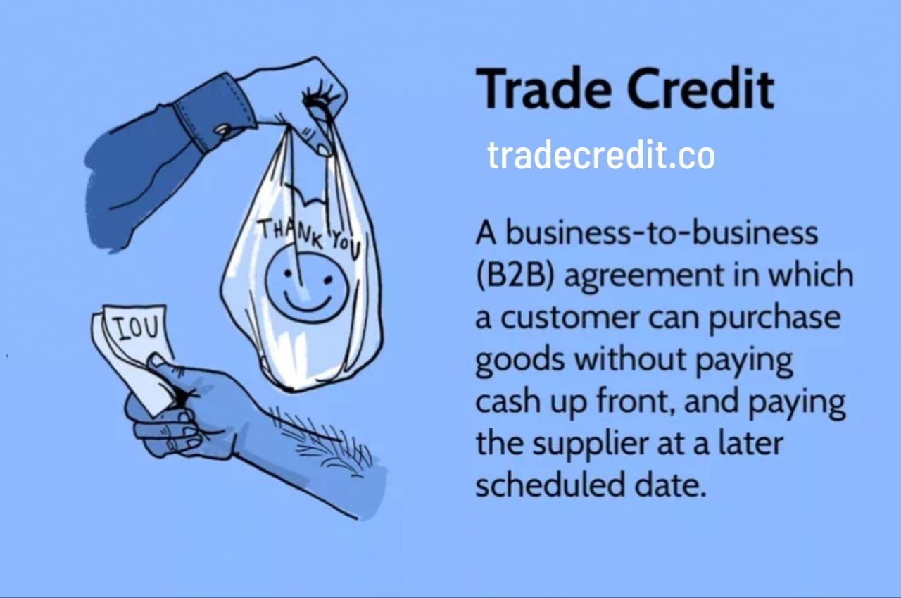 nuvo trade credit